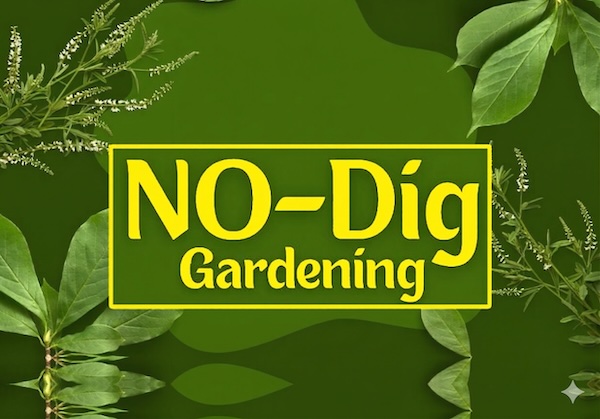 “No-Dig” Gardening